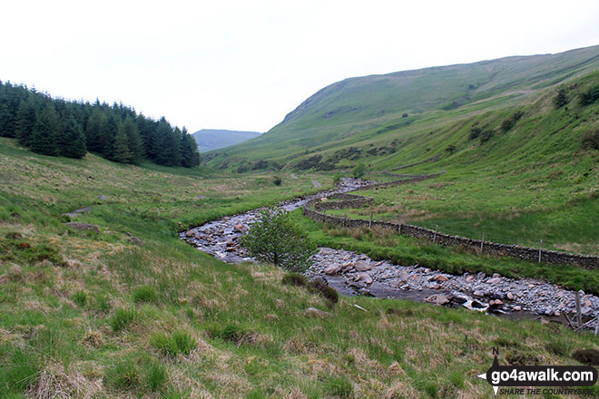 Whinash from Borrowdale (Borrow Beck)