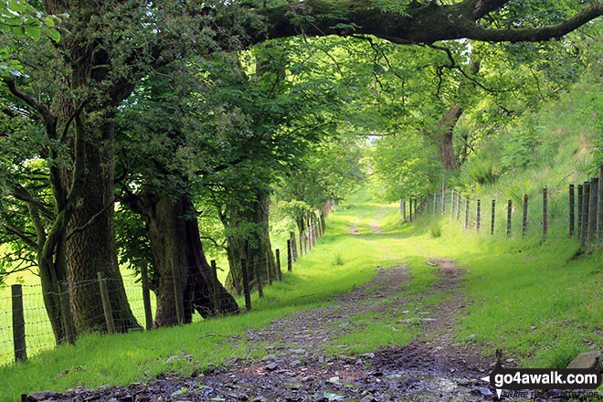 Walk c136 Mabbin Crag from Huck's Bridge - The path between High Borrowdale Farm and Low Borrowdale Farm