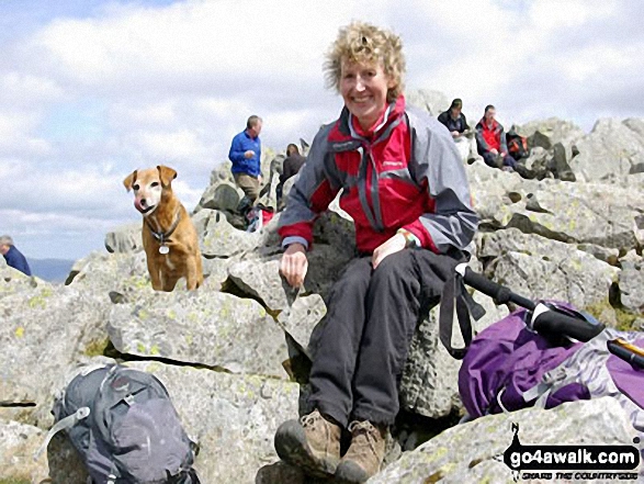 Me and my dog, Rosie at the top of Great Gable 