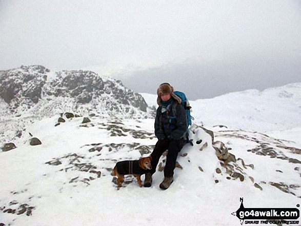 Walk c129 Crinkle Crags and Bow Fell from The Old Dungeon Ghyll, Great Langdale - My dog Rosie and I on Crinkle Crags