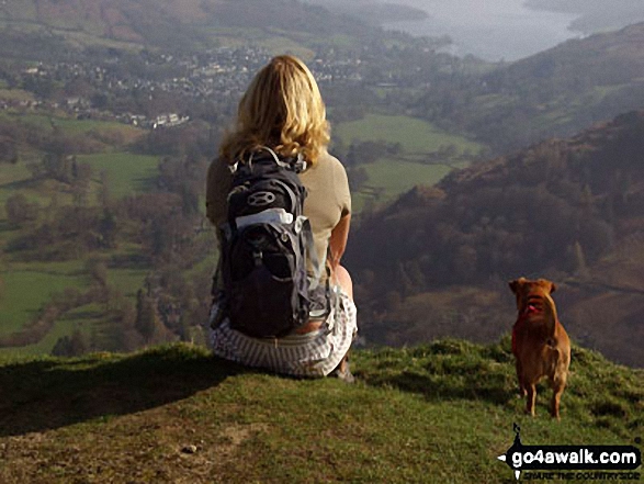 Walk c389 Great Rigg, Fairfield and Hart Crag from Ambleside - Looking down to Ambleside from Nab Scar with Rosie dog