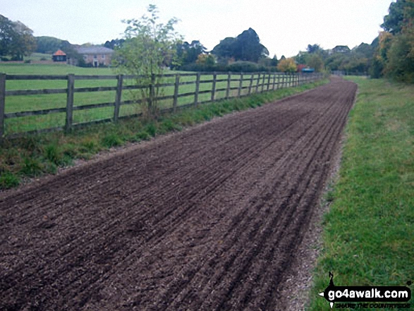 Walk bu192 Wendover Dean from The Lee - Russell Farm Horse Gallop Track near Cobblershill Lane, Wendover Dean