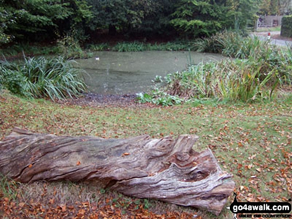 Dunsmore Village Pond 