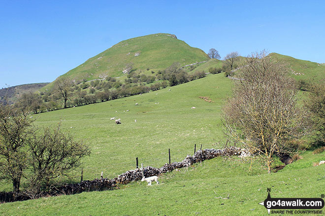 Chrome Hill from the foot of Parkhouse Hill