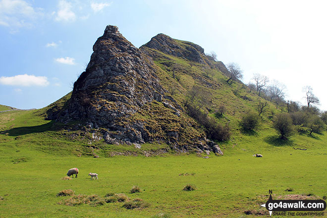 Walk s106 Parkhouse Hill, Chrome Hill, High Edge and Hollins Hill from Hollinsclough - The steep NW flank of Parkhouse Hill