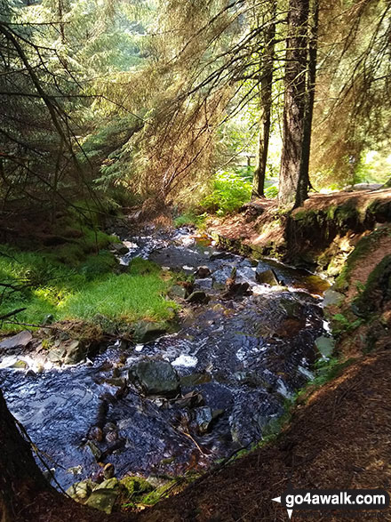 Walk d135 Kinder Downfall from Birchin Clough - Birchin Clough