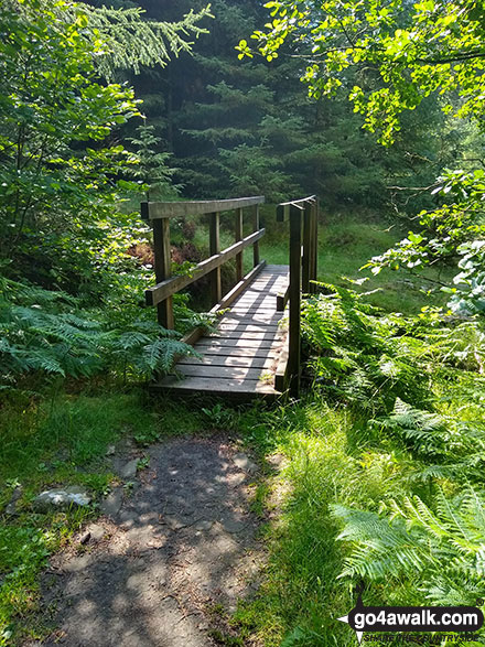 Walk d135 Kinder Downfall from Birchin Clough - The footbridge over Birchin Clough