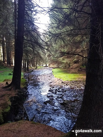 Walk d116 Lady Clough from Birchin Clough - Birchin Clough