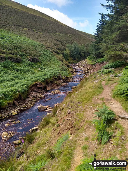 Walk d116 Lady Clough from Birchin Clough - The River Ashop near Birchin Clough