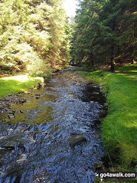 Lady Clough from Lady Clough Bridge 