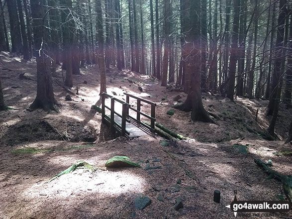 Walk d116 Lady Clough from Birchin Clough - Footbridge on Lady Clough Woods