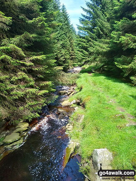 Walk d135 Kinder Downfall from Birchin Clough - Lady Clough