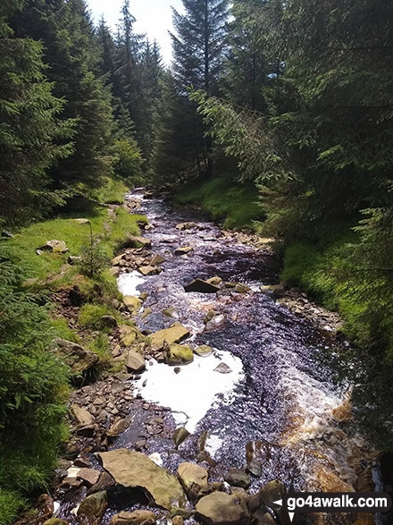 Walk d116 Lady Clough from Birchin Clough - Lady Clough