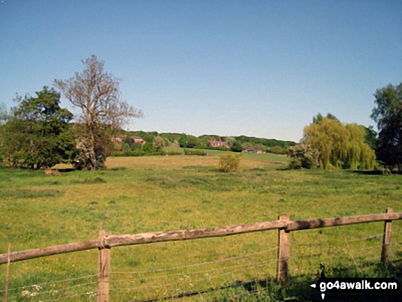 On The South Bucks Way South East of Little Missenden 