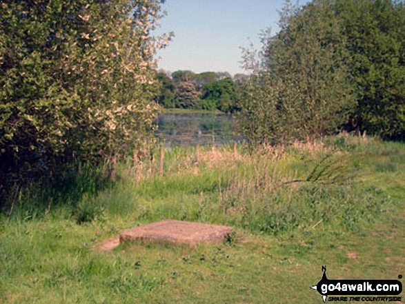 Shardeloes Lake through the trees 