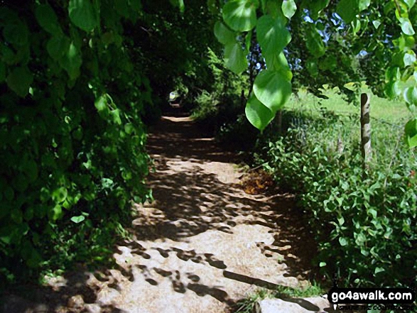 Walk bu196 Mop End from Little Missenden - Footpath near Shardeloes Lake