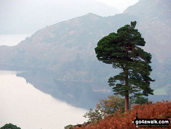 Walk c286 The Glenridding Skyline from Glenridding - Ullswater from Glenridding Dodd