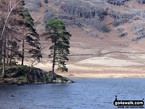 Walk c206 Lingmoor Fell and Little Langdale from Blea Tarn (Langdale) nr Elterwater - Blea Tarn (Langdale)