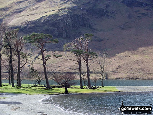 Walk c367 Robinson and High Snockrigg from Buttermere - Buttermere