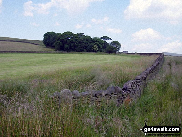 Walk d171 Lantern Pike and Cown Edge Rocks from Hayfield - Farmland near Rowarth