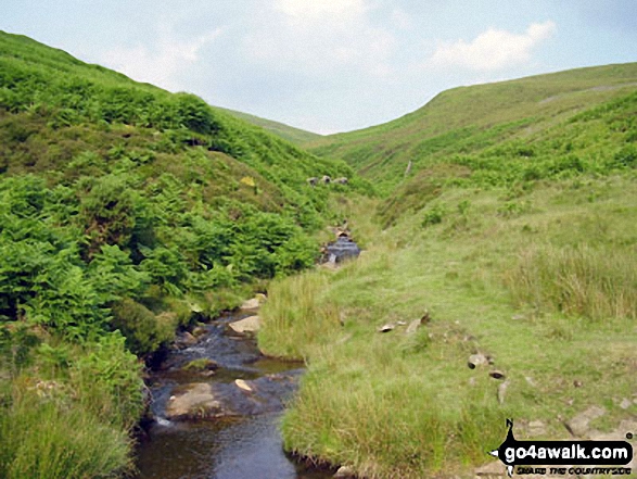 Walk d171 Lantern Pike and Cown Edge Rocks from Hayfield - Hollingwood Clough