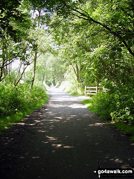 Walk d321 Mill Hill and Middle Moor from Hayfield - The Sett Valley Trail near Hayfield