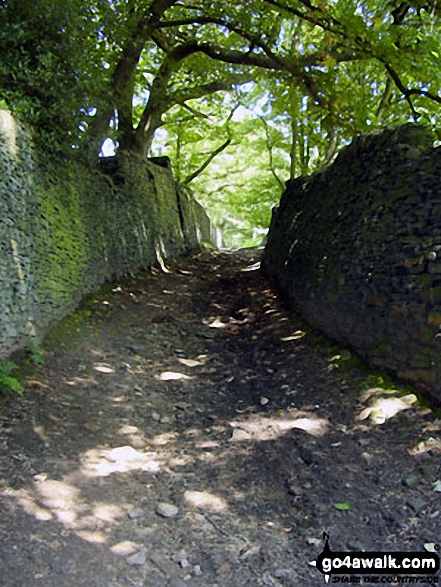 Walk d171 Lantern Pike and Cown Edge Rocks from Hayfield - On The Pennine Bridleway heading for Lantern Pike