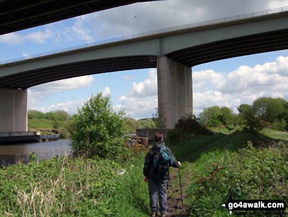 Walking under Thelwall Viaduct which carries the M6 (and much traffic) over The Manchester Ship Canal 