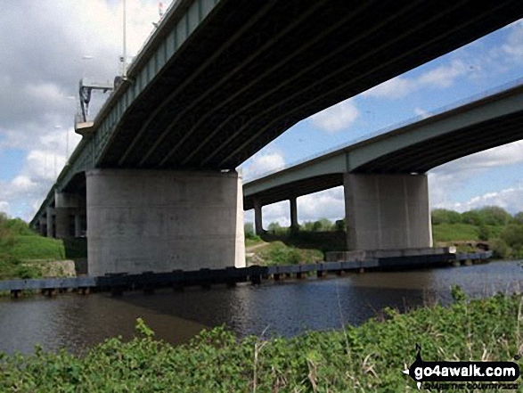 Walk ch261 Statham from Thelwall - Beside The Manchester Ship Canal under the M6 (Thelwall Viaduct)