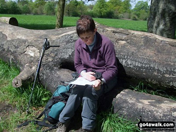 Walk ch261 Statham from Thelwall - Checking the go4awalk route directions near Statham