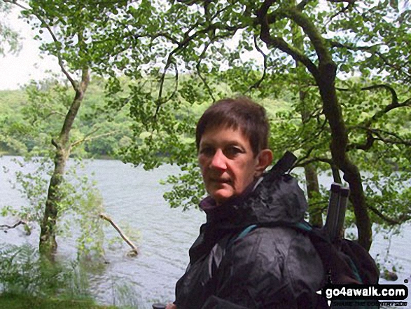 Elly beside Llyn Cynwych Llyn Cynwych was over 5 foot above normal level for this
time of year, i.e. June, 2012!!