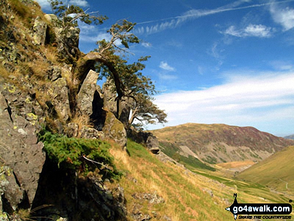 Walk c220 Helvellyn via Striding Edge from Glenridding - Sheffield Pike from the lower slopes of Birkhouse Moor