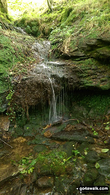 A hidden waterfall along the side of Ladybower Reservoir in Wiseman Hey Clough Woods 