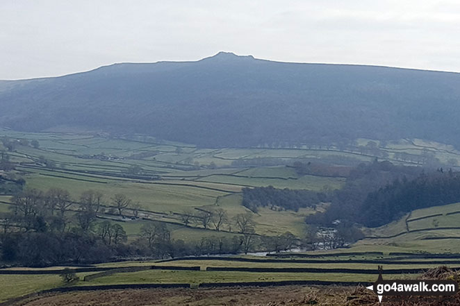 Walk ny121 Simon's Seat from Barden Bridge, Wharfedale - Carncliff Top (Earl Seat) from the B6160 (Intake Plantation area) looking SE with the River Wharfe in the valley