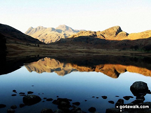 Walk c147 Little Langdale and Great Langdale from Elterwater - The Langdale Pikes from Blea Tarn