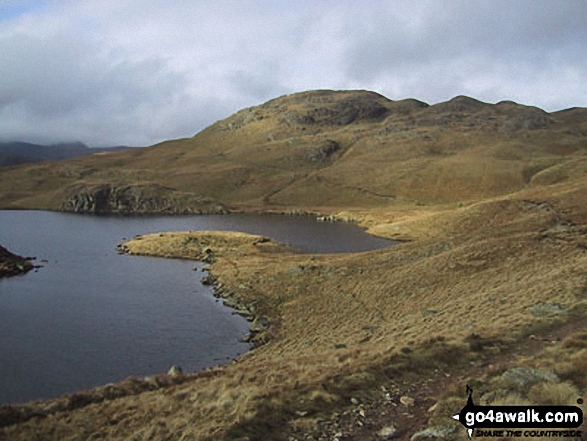 Walk c416 Scafell Pike from The Old Dungeon Ghyll, Great Langdale - Angletarn Pikes from Angle Tarn