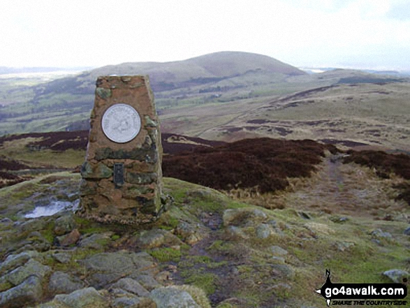 Walk c309 Great Mell Fell, Little Mell Fell and Gowbarrow Fell - Gowbarrow Fell (Airy Crag) summit