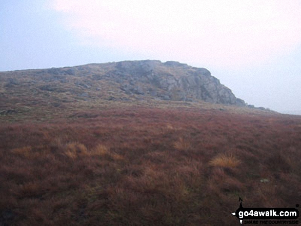 Knotteranum from Bowland Knotts 