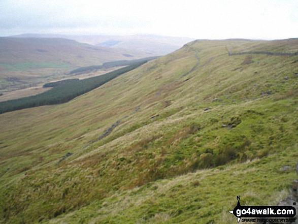 Walk ny108 Dodd Fell Hill and Drumaldrace (Wether Fell) from Hawes - Widdale from The Pennine Way on the northern lower slopes of Dodd Fell Hill