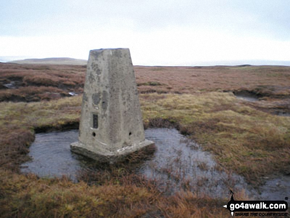 Walk ny108 Dodd Fell Hill and Drumaldrace (Wether Fell) from Hawes - Dodd Fell Hill summit