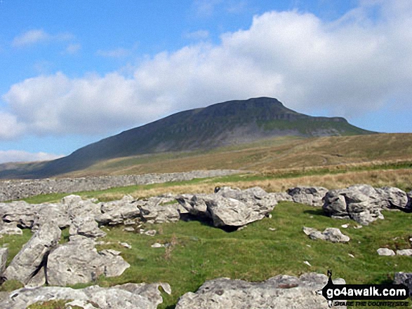 Pen-y-ghent from Brackenbottom 