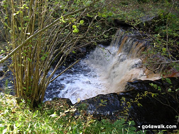 Mill Gill near Askrigg 