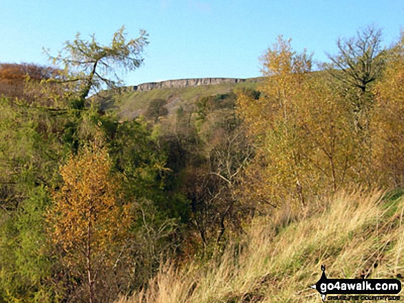 Whitfield Scar from woodland above Mill Gill near Askrigg 