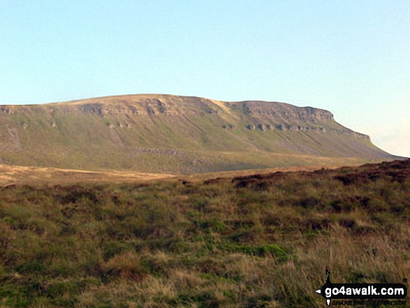 Pen-y-ghent from the Pennine Way near Hull Pot