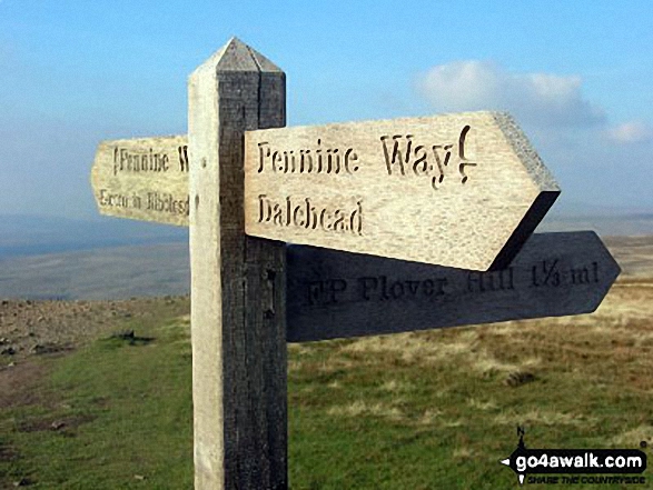 Walk ny112 Pen-y-ghent and Plover Hill from Dale Head - The Pennine Way sign on the summit of Pen-y-ghent