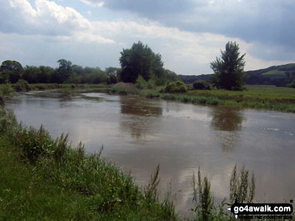 Walk ws127 Arundel Park, South Stoke and The River Arun from Arundel - The River Arun near South Stoke