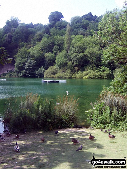 Walk ws127 Arundel Park, South Stoke and The River Arun from Arundel - Swanbourne Lake