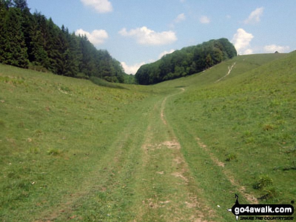 Walk ws127 Arundel Park, South Stoke and The River Arun from Arundel - Arundel Park