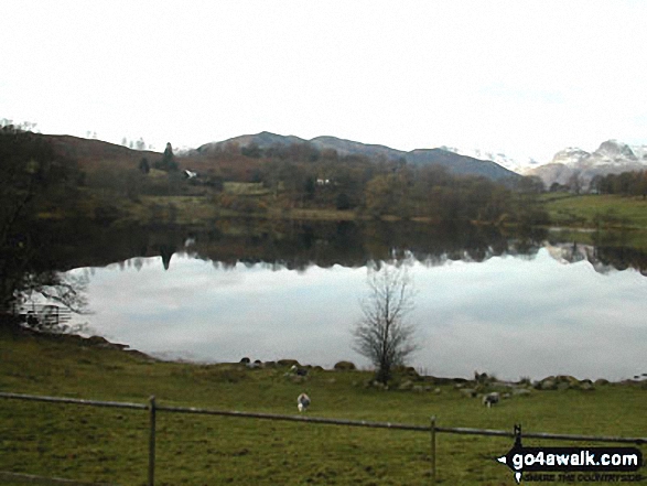 Walk c274 Loughrigg Fell from Elterwater - Loughrigg Tarn near Tarn Foot