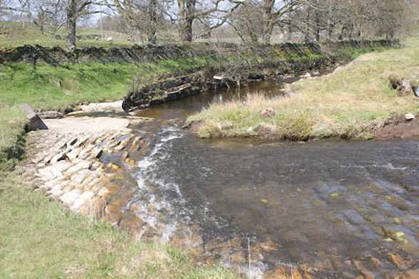 The River East Allen 